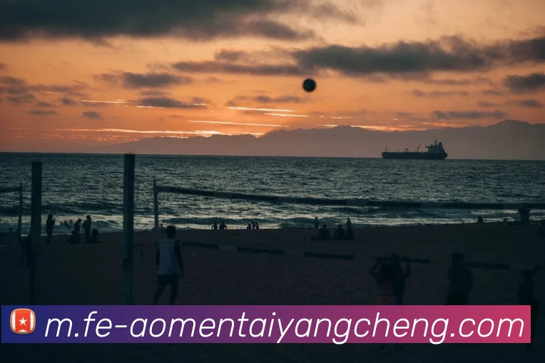 澳门太阳城网站服务体系